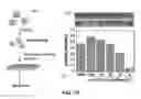 Fig. 14 - Enzyme responsive nanocapsules for protein delivery