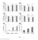 Fig. 09 - NMDAR antagonist for the treatment of pervasive development disorders