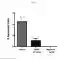 Fig. 06 - Methods and compositions for treatment of demyelinating diseases