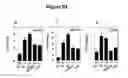 Fig. 09 - Composition and method for the treatment of neurological diseases and cerebral injury