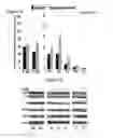Fig. 08 - Methods of modulation of branched chain acids and uses thereof