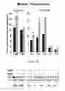 Fig. 09 - Methods of modulation of branched chain acids and uses thereof