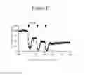 Fig. 04 - METHODS OF TREATING AUTISM WITH mGluR5 ANTAGONISTS