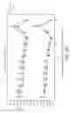 Fig. 31 - Method for decreasing skeletal muscle damage and/or oxidative stress in mammals