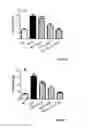 Fig. 05 - Compositions for Improved Body Composition
