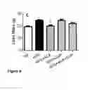 Fig. 06 - Compositions for Improved Body Composition