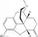 Fig. 02 - STABILITY OF HYDROMORPHONE HYDROCHLORIDE SOLUTIONS