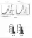 Fig. 03 - Methods of treating, preventing and diagnosing leukemia and other blood diseases and disorders