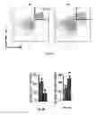 Fig. 05 - Methods of treating, preventing and diagnosing leukemia and other blood diseases and disorders