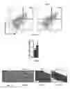 Fig. 06 - Methods of treating, preventing and diagnosing leukemia and other blood diseases and disorders