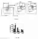 Fig. 12 - Methods of treating, preventing and diagnosing leukemia and other blood diseases and disorders