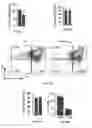 Fig. 19 - Methods of treating, preventing and diagnosing leukemia and other blood diseases and disorders
