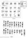 Fig. 22 - Methods of treating, preventing and diagnosing leukemia and other blood diseases and disorders