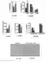 Fig. 24 - Methods of treating, preventing and diagnosing leukemia and other blood diseases and disorders