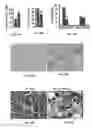 Fig. 26 - Methods of treating, preventing and diagnosing leukemia and other blood diseases and disorders
