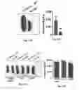 Fig. 30 - Methods of treating, preventing and diagnosing leukemia and other blood diseases and disorders