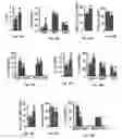 Fig. 31 - Methods of treating, preventing and diagnosing leukemia and other blood diseases and disorders