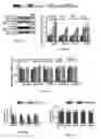 Fig. 34 - Methods of treating, preventing and diagnosing leukemia and other blood diseases and disorders