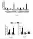 Fig. 44 - Methods of treating, preventing and diagnosing leukemia and other blood diseases and disorders