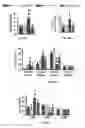 Fig. 46 - Methods of treating, preventing and diagnosing leukemia and other blood diseases and disorders