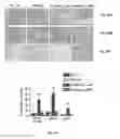 Fig. 49 - Methods of treating, preventing and diagnosing leukemia and other blood diseases and disorders