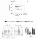 Fig. 50 - Methods of treating, preventing and diagnosing leukemia and other blood diseases and disorders