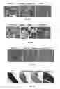 Fig. 53 - Methods of treating, preventing and diagnosing leukemia and other blood diseases and disorders