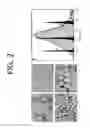 Fig. 03 - EXTENDED-RELEASE DRUG DELIVERY COMPOSITIONS