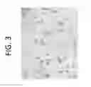 Fig. 04 - EXTENDED-RELEASE DRUG DELIVERY COMPOSITIONS