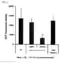 Fig. 04 - PROPHYLACTIC/THERAPEUTIC AGENT FOR DRY EYE