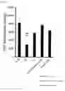 Fig. 10 - PROPHYLACTIC/THERAPEUTIC AGENT FOR DRY EYE