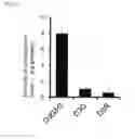 Fig. 12 - PROPHYLACTIC/THERAPEUTIC AGENT FOR DRY EYE