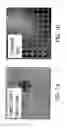 Fig. 02 - Multipotent adult stem cells and methods for isolation