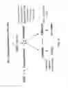Fig. 06 - Multipotent adult stem cells and methods for isolation