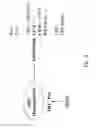 Fig. 10 - Multipotent adult stem cells and methods for isolation
