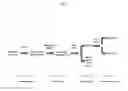 Fig. 03 - Compounds, extracts and methods from chinese medicinal herb sophora flavescens that inhibit airway contraction