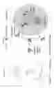 Fig. 03 - pH-sensitive polymer-drug conjugates for targeted delivery of therapeutics