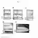 Fig. 08 - p53 activating peptides