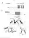 Fig. 19 - p53 activating peptides