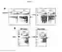 Fig. 23 - p53 activating peptides