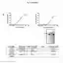 Fig. 27 - p53 activating peptides