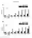 Fig. 31 - p53 activating peptides