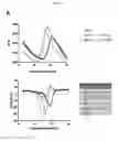 Fig. 37 - p53 activating peptides