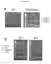 Fig. 42 - p53 activating peptides