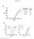 Fig. 45 - p53 activating peptides
