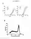 Fig. 46 - p53 activating peptides