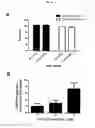 Fig. 48 - p53 activating peptides