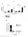 Fig. 49 - p53 activating peptides