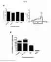 Fig. 52 - p53 activating peptides