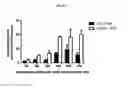 Fig. 55 - p53 activating peptides